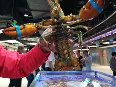 走馬觀花十里堡盒馬，新零售的水產品長啥樣？